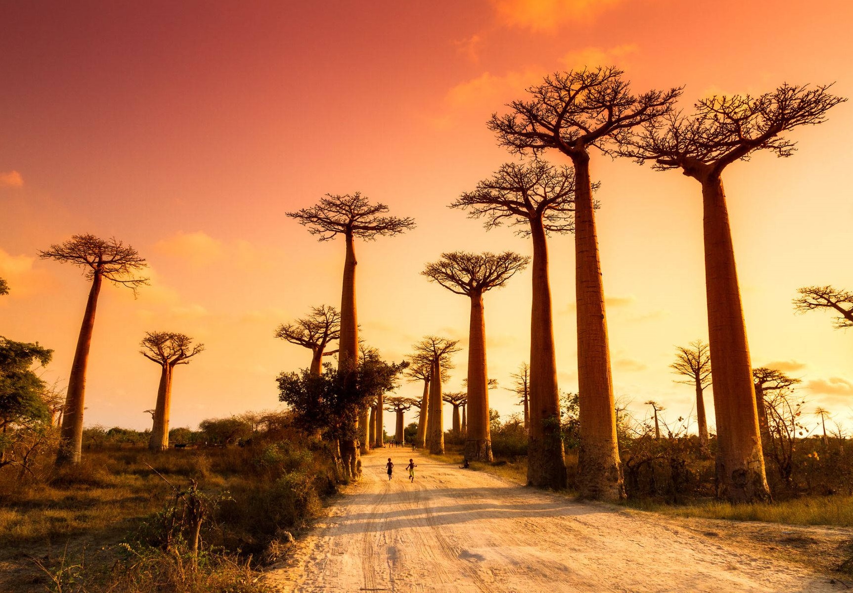 Madagaskar Turları
