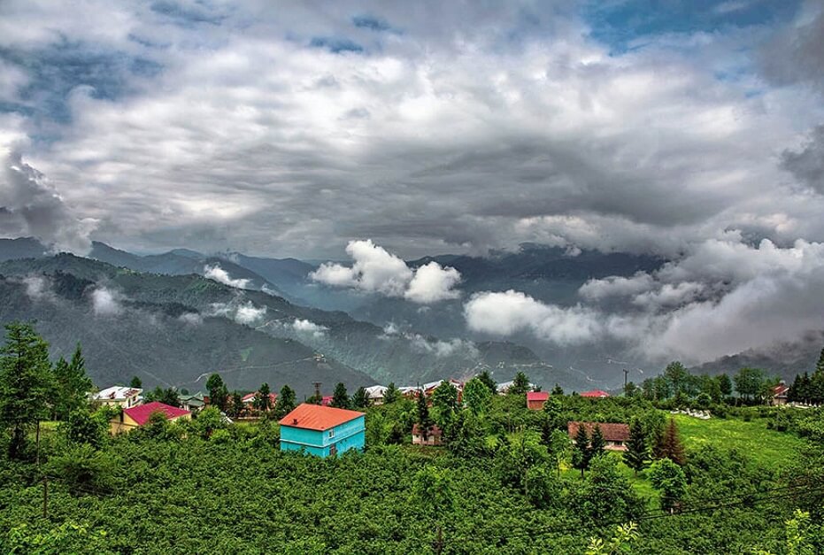 Ordu Hakkında