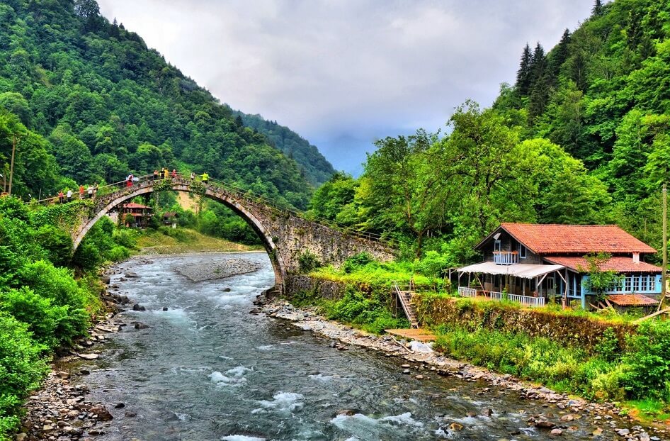 Rize Hakkında