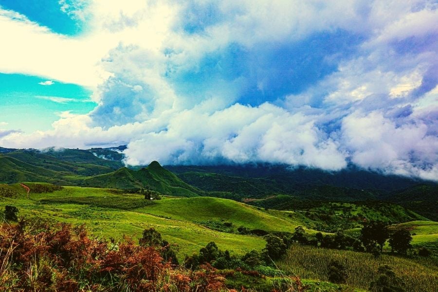 Şimdi Yayla Zamanı