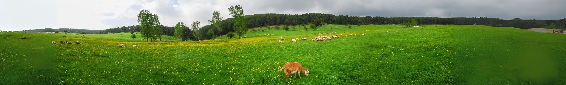Karadeniz’in Meşhur Yaylaları ve Gürcistan Batum
