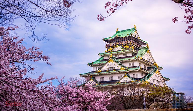 Japonya ve Kore Turu 