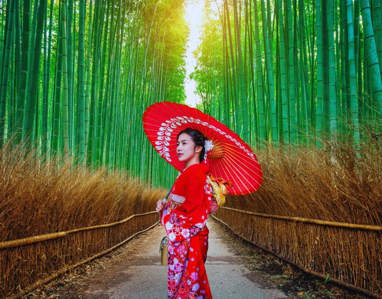 Elegant Japonya All Nippon Hava Yolları ile 6 Gece