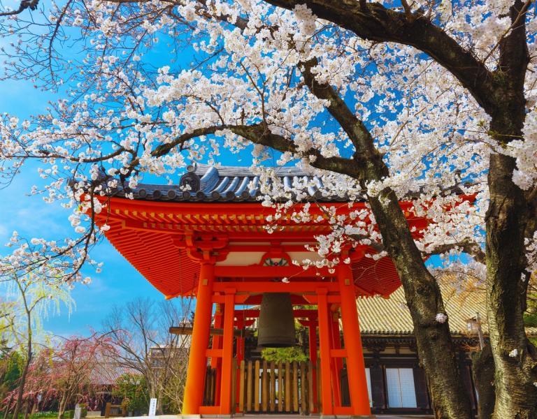 Elegant Japonya Türk Hava Yolları ile 7 Gece