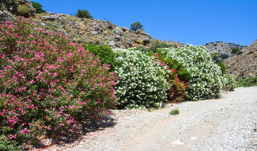 Antalya Çıkışlı Uçaklı Marmara`nın Tarihi Başkentleri (Kazdağları Jeep Safari ve Ayvalık Tekne Turu İle) 4 Gece Otel Konaklamalı