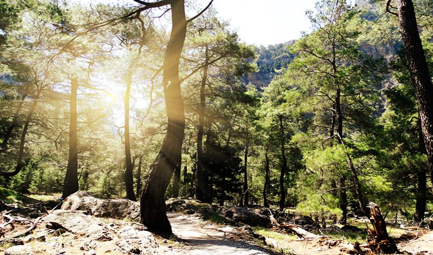 Samsun Çıkışlı Uçaklı Marmara`nın Tarihi Başkentleri Turu (4 Gece Konaklama) (Kazdağları Jeep Safari ve Ayvalık Tekne Turu)