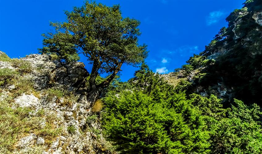 Samsun Çıkışlı Uçaklı Marmara`nın Tarihi Başkentleri Turu (4 Gece Konaklama) (Kazdağları Jeep Safari ve Ayvalık Tekne Turu)