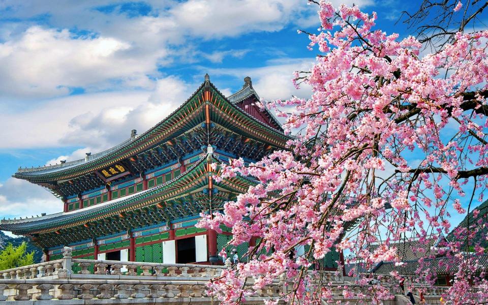 Elegant Japonya & Güney Kore Emirates Havayolları İle 9 Gece Ekstra Turlar Dahil!  (ICN-NRT)  