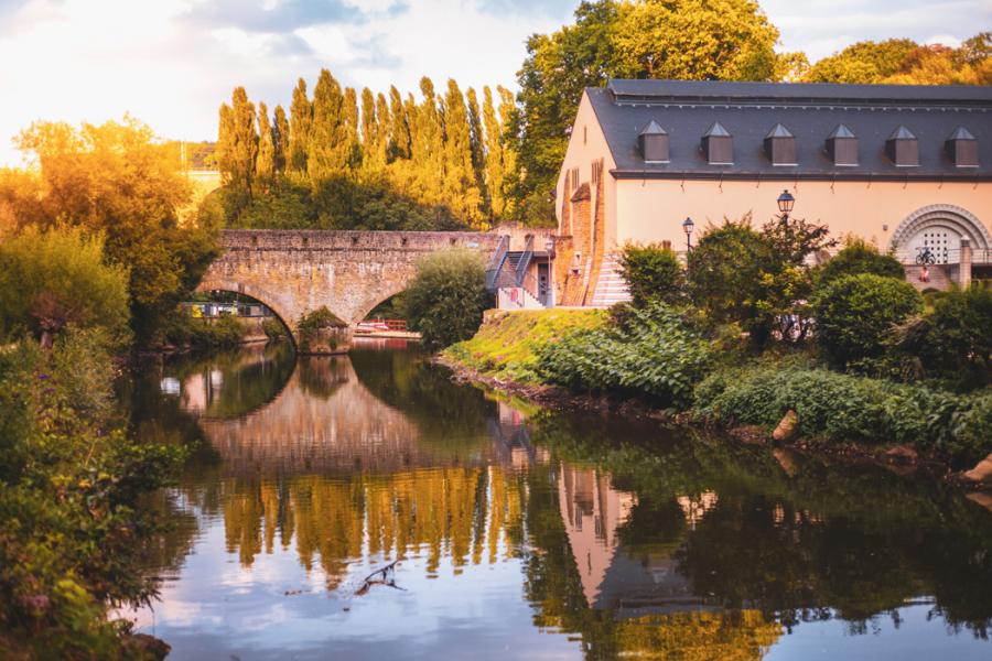 Benelux & Paris Pegasus İle 2026 (7 Gece 8 Gün)(CRL-CRL)  