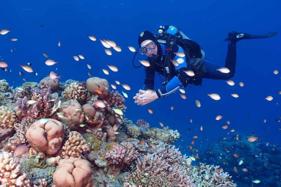 Antalya Çıkışlı Sharm El Sheihk Turu (4 Gece 6 Gün) (2026)