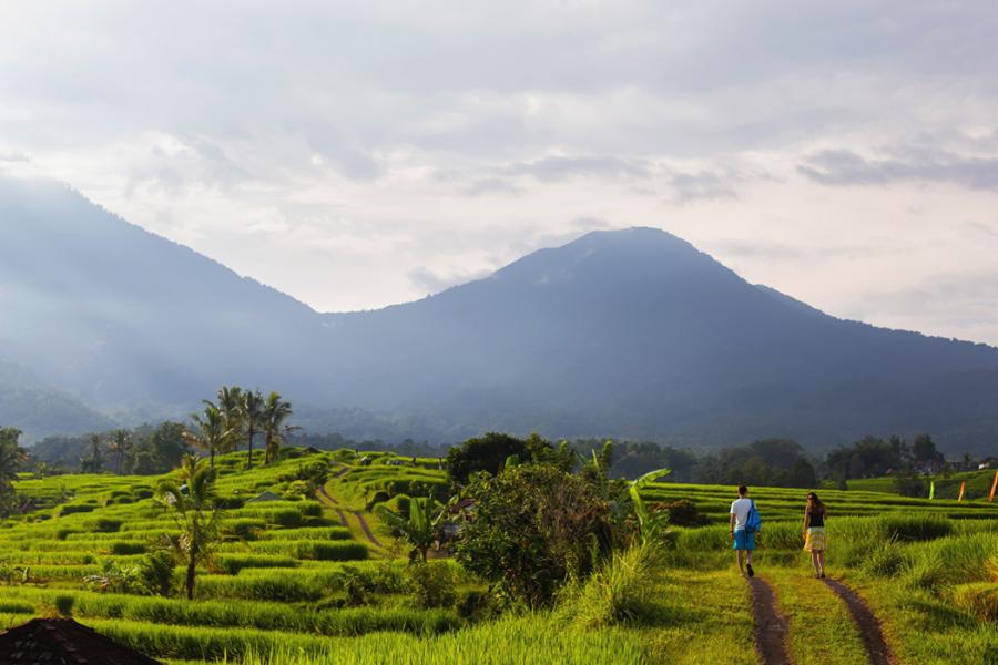 Bali & Ubud Serüveni Turu THY (6 Gece 7 Gün)(DPS-DPS)