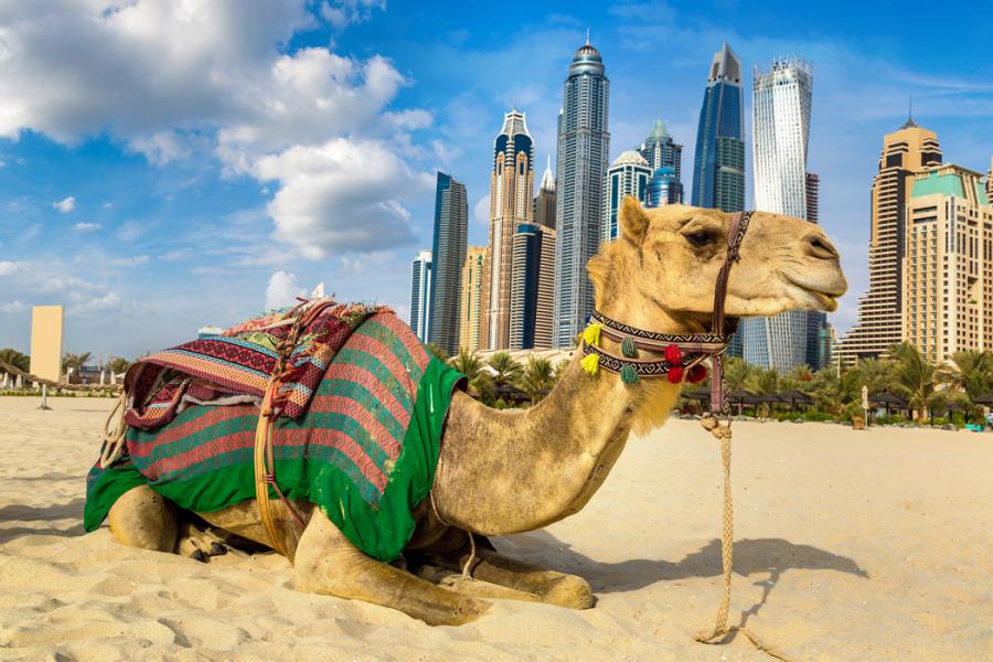 Adana'dan Dubai Turu Pegasus İle 4 Gece Ramazan Bayramı Özel (COV-AUH-COV) 18 Mart