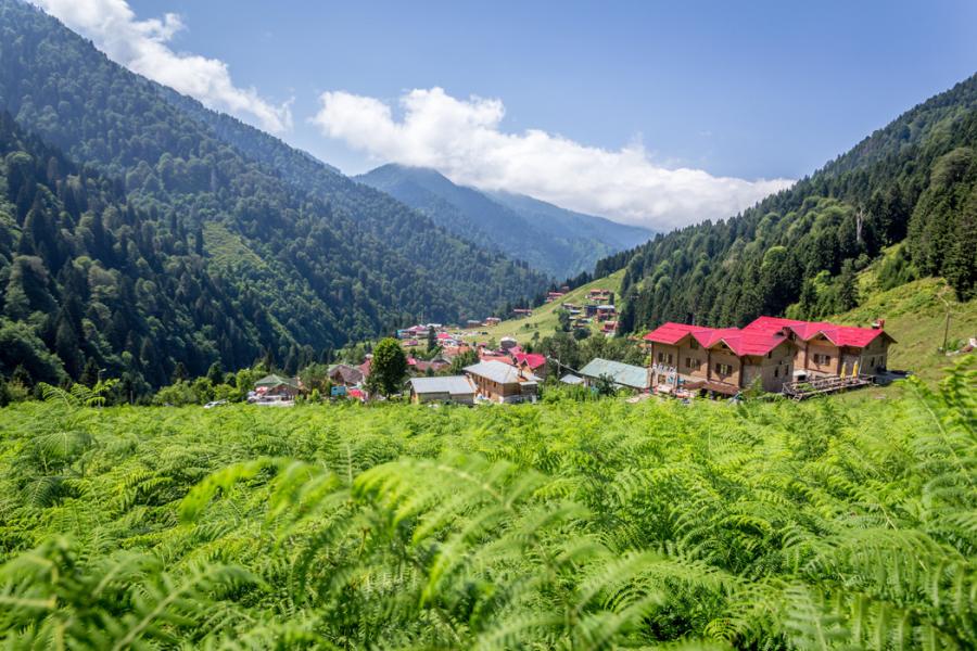 İzmir Çıkışlı Uçaklı Karadeniz Rüzgarı ve Batum Turu (4 Gece 5 Gün)