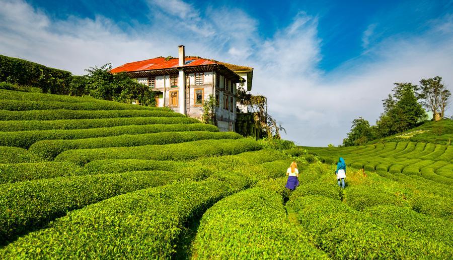 İzmir Çıkışlı Uçaklı Karadeniz Yaylaları ve Batum Turu (3 Gece Otel Konaklamalı)