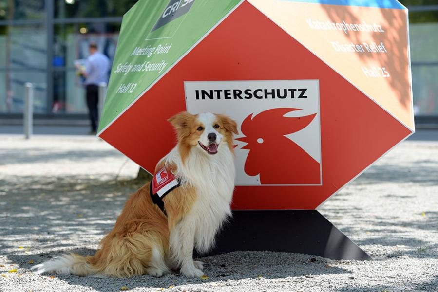 INTERSCHUTZ Hannover 2030 / 7 GECE - 8 GÜN  
