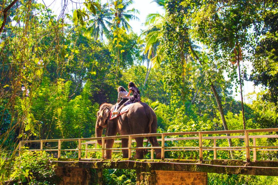 Sri Lanka Turu THY İle 6 Gece 8 Gün