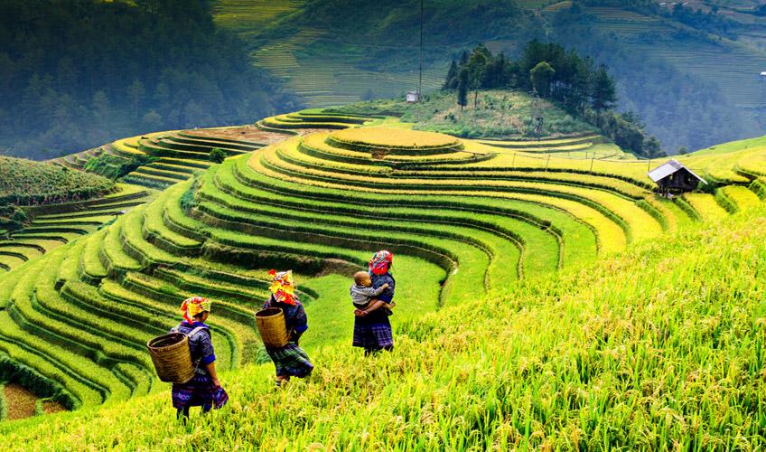 Vietnam & Kamboçya Keşif Turu Singapore HY İle 6 Gece 9 Gün