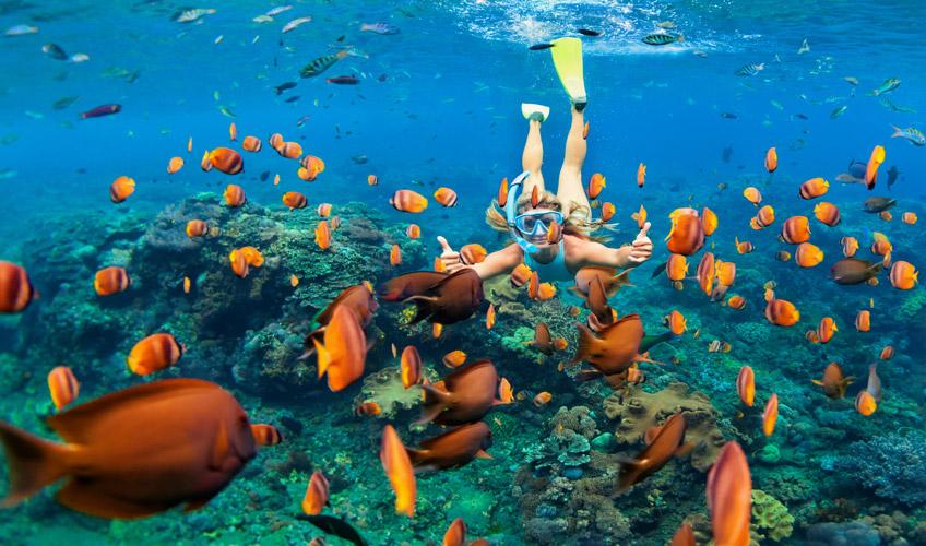 Rüya Ada Bali - Ubud Turu 6 Gece Qatar Havayolları İle Sömestre Özel
