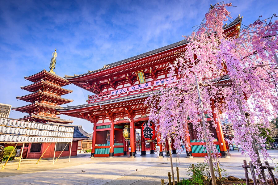 Hong Kong & Japonya & Güney Kore Thy İle 9 Gece Koyo Dönemi ve Kasım Ara Tatil Özel (HKG-ICN) 14 Kasım
