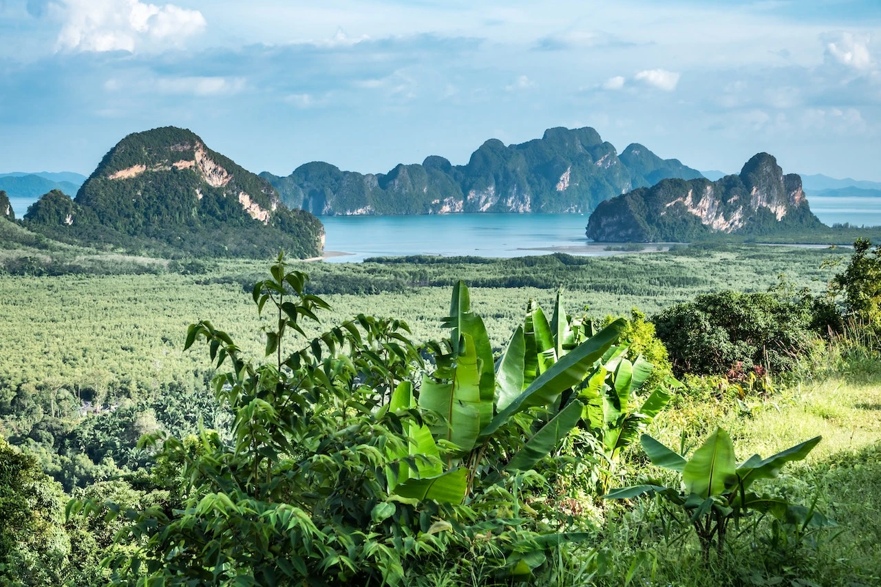 Phuket - Pattaya - Bangkok Ramazan Bayramı Özel Türk Havayolları İle 7 Gece 8 Gün