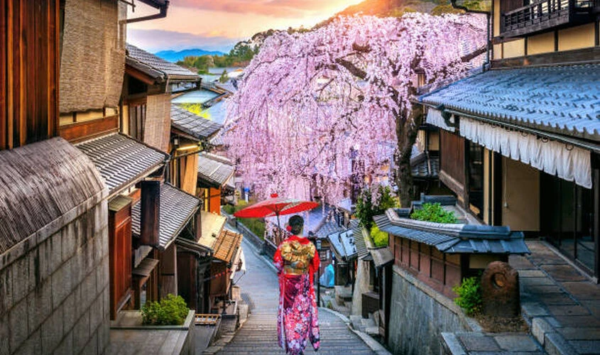 Comfort Japonya & Kore Qatar Havayolları İle 8 Gece Ekstra Turlar Dahil (NRT-NRT) 14 Kasım 2026