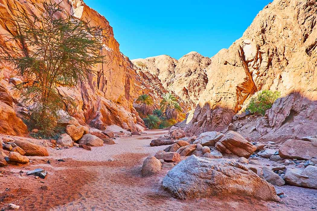 Sharm El Sheikh Turu Sömestre Özel THY ile 3 Gece (26-29 Ocak)