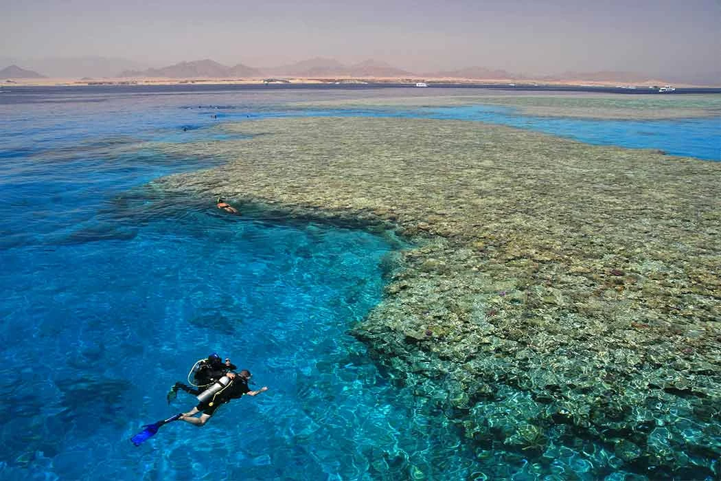 Sharm El Sheikh Turu Sömestre Özel THY ile 3 Gece (26-29 Ocak)