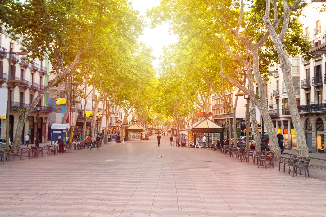 Gaudinin İzinde Sagrada Familia & Barcelona Turu THY İle Yaz Dönemi 3 Gece 4 Gün 01.07.2027