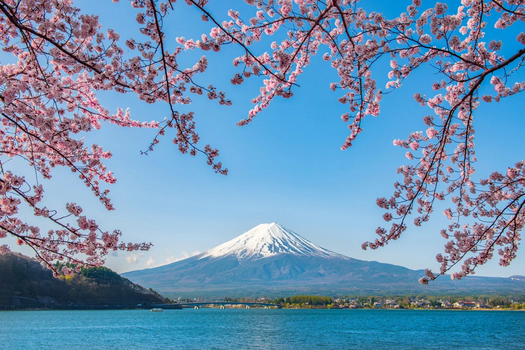 Grand Japonya Turu THY 6 Gece 8 Gün (NRT-KIX) 2027 
