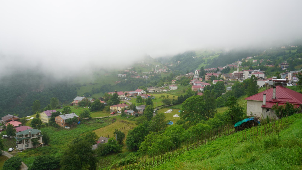 Serin Yaylalar, Derin Vadiler ve Efsaneler: Karadeniz’de Yaz Tatiline Davet