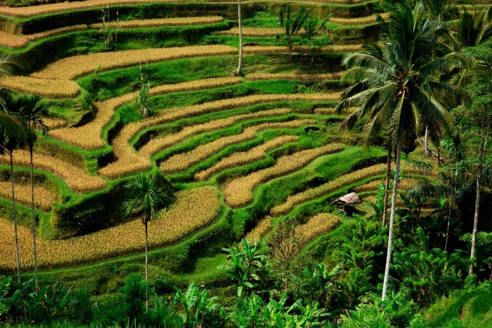 Bali’de Görmeden Dönmemeniz Gereken 7 Efsanevi Yer: Tanrıların Adası’nı Keşfedin