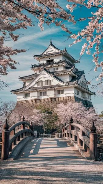 Japonya Turları (Vizesiz) Tokyo-Kyoto-Osaka