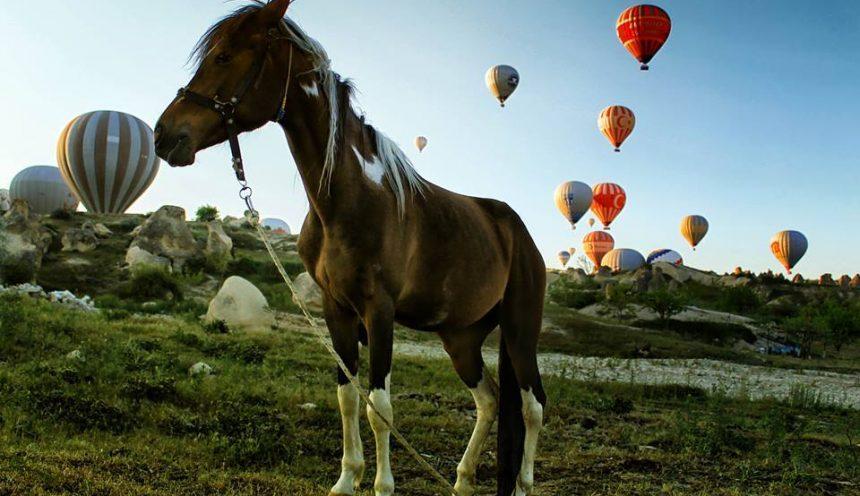 Yılbaşı Özel Kapadokya Turu 2 Gün – 1 Gece | Taş Otel Konaklamalı | Kesin...