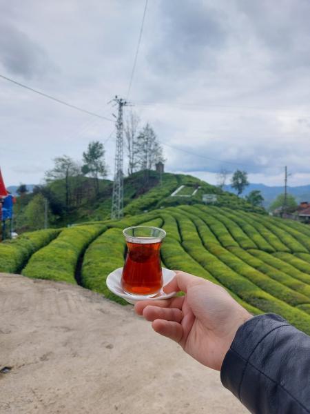 DENİZLİ ÇIKIŞLI 6 GECE 7 GÜN KAPSAMLI KARADENİZ BATUM TURU 