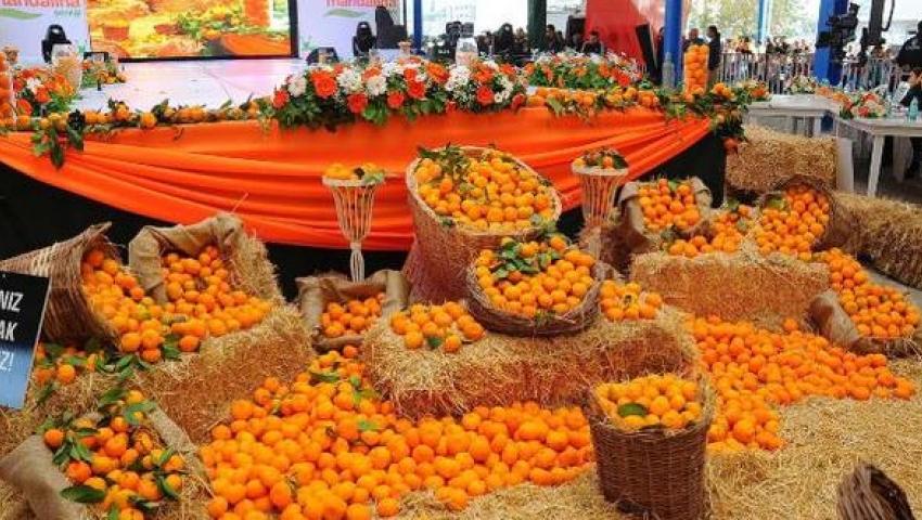 DENİZLİ ÇIKIŞLI KONAKLAMALI ADANA PORTAKAL ÇİÇEĞİ FESTİVALİ TURU  