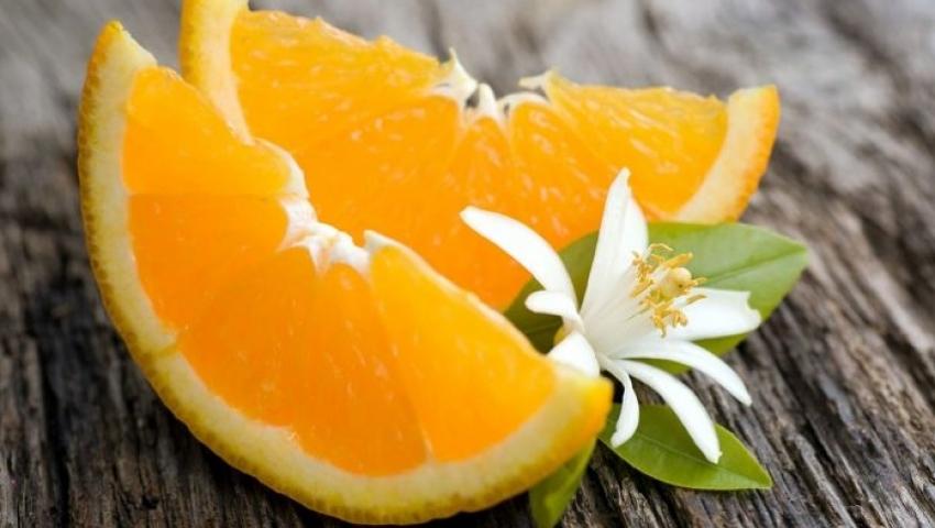 DENİZLİ ÇIKIŞLI KONAKLAMALI ADANA PORTAKAL ÇİÇEĞİ FESTİVALİ TURU  