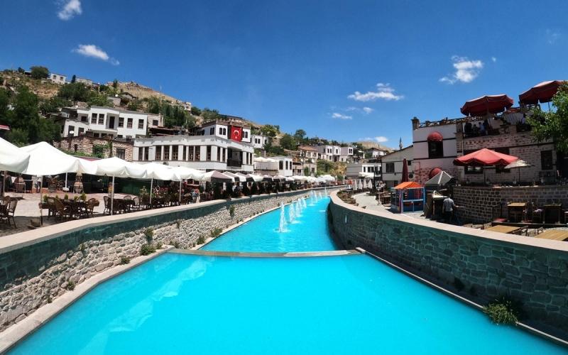 DENİZLİ ÇIKIŞLI KONYA LALE BAHÇELERİ TURU