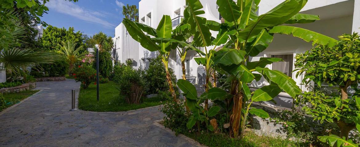 Leo Beach Resort / 4 Gece 5 Gün / +16 / Bodrum 