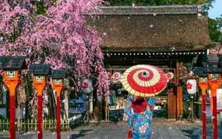 Japonya & Güney Kore Turu | 13 Gün 10 Gece | Shinkansen & Fuji Deneyimi