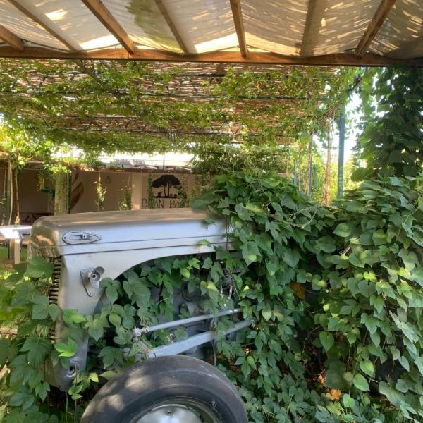 Lidya Antik Bağ Rotası