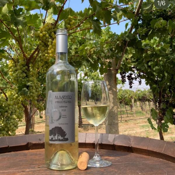 Lidya Antik Bağ Rotası