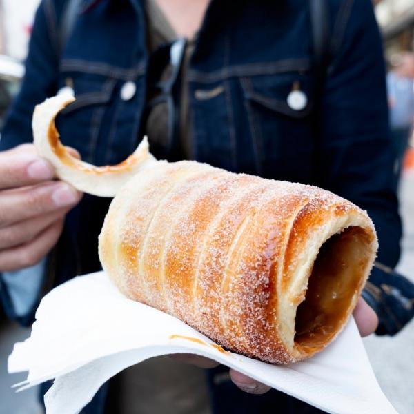 Büyük Orta Avrupa ve Almanya Turu