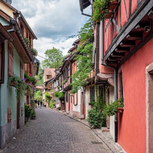 Noel Pazarları Alsace - Colmar Turu 