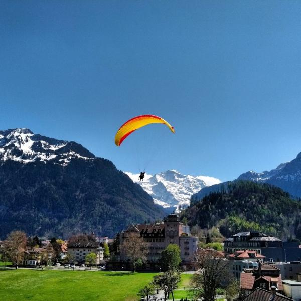 Noel Pazarları Alsace - Colmar Turu 