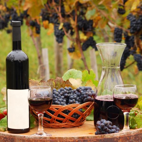 Bağ Bozumunda Tiflis