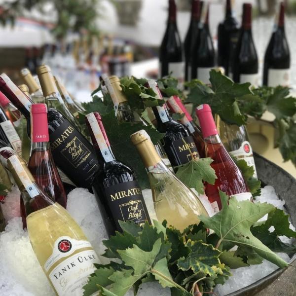 Dionysos İzinde: Lidya Antik Bağ Rotası