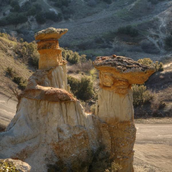 Dionysos İzinde: Lidya Antik Bağ Rotası