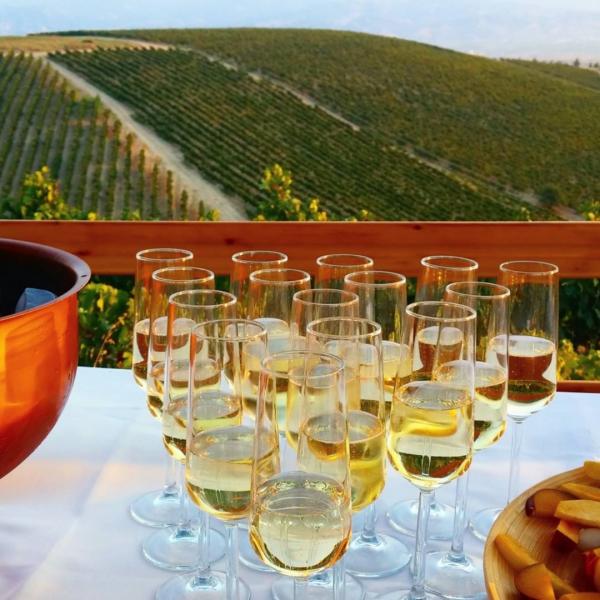 Dionysos İzinde: Lidya Antik Bağ Rotası