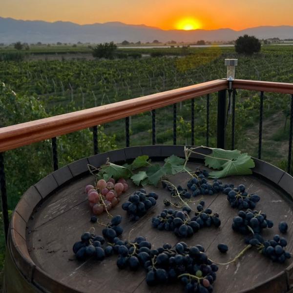 Dionysos İzinde: Lidya Antik Bağ Rotası