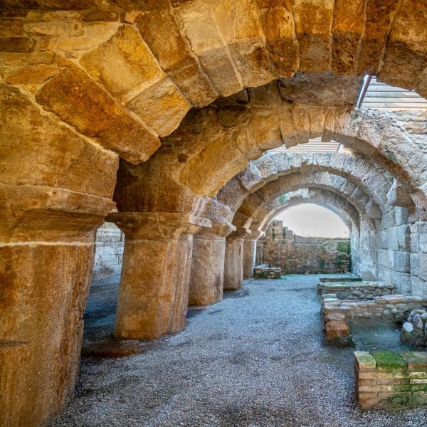 Dionysos İzinde: Lidya Antik Bağ Rotası